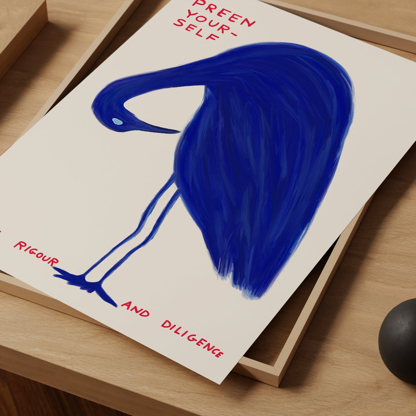 David Shrigley. Preen Yourself. Funny Wall Poster. Shrigley Bird. Trending Poster. Funky Living Room Wall Art. Bird Prints