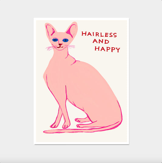 David Shrigley Cat. Hairless And Happy. Contemporary Art. Hairless Cat Poster Print. Quote Wall Art Gift
