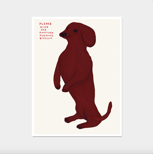 David Shrigley. Please Give Me Another Fucking Biscuit. David Shrigley Print. Shrigley Dog. Funny Dog Poster. Funky Living Room Wall Art