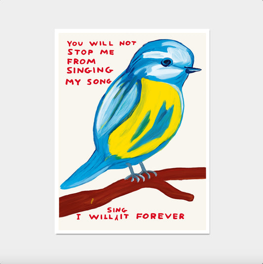 David Shrigley. You Will Not Stop Me From Singing My Song. David Shrigley Art. Shrigley Bird. Room Wall Art. Funky Shrigley Art Print