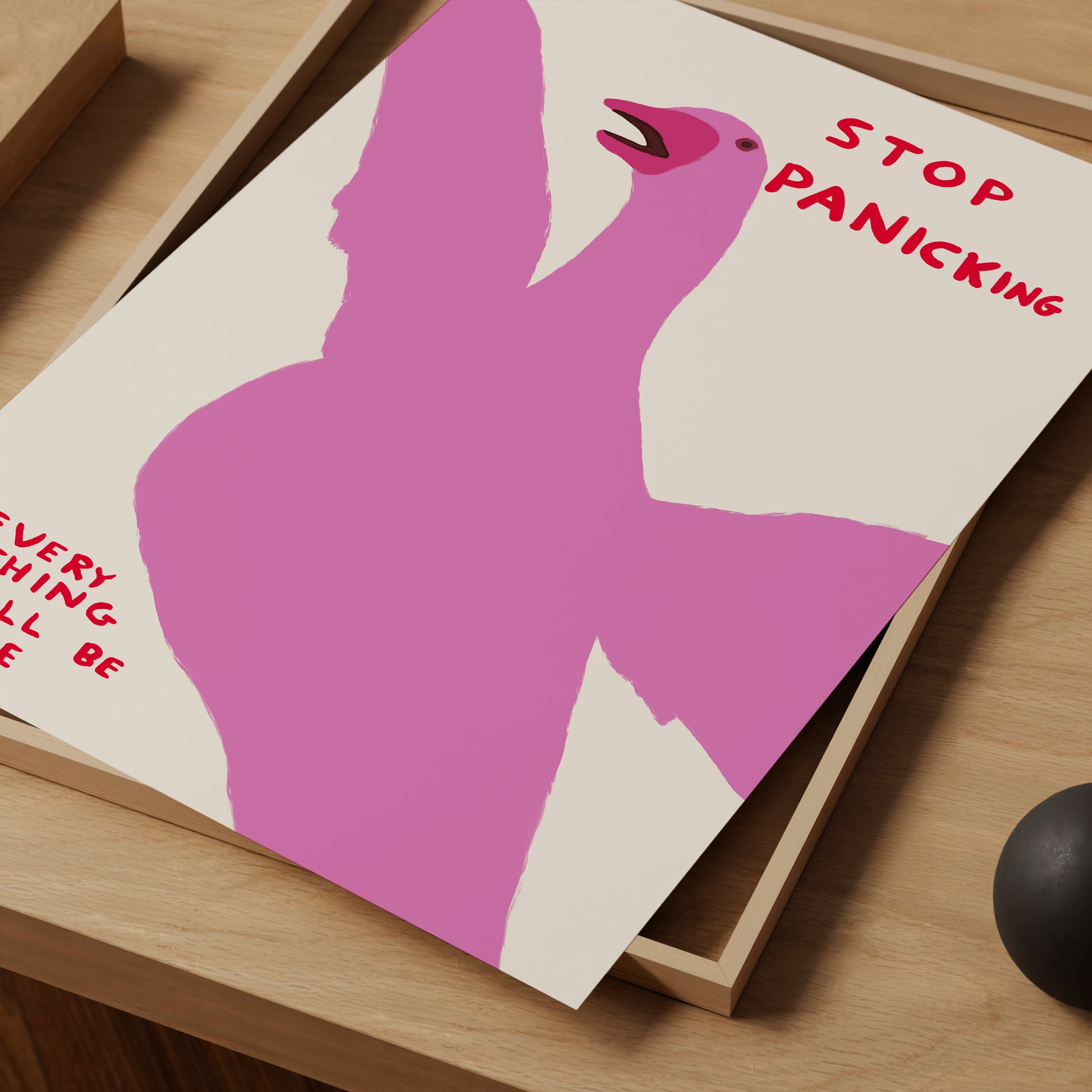 David Shrigley. Stop Panicking. Shrigley Goose. Contemporary Art. Home Wall Decor. Funny Living Room Quote Poster. Kitchen Wall Decor
