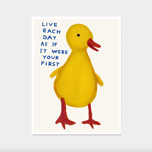 David Shrigley. Live Each Day As If It Were Your First. Kitchen Wall Decor. Contemporary Wall Art. Living Room Wall Art. Shrigley Duckling