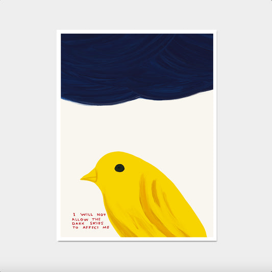 I Will Not Allow The Dark Skies to Affect Me. David Shrigley Canary Bird. Shrigley Art Print. Bird Poster. Quote Wall Art. Room Wall Art