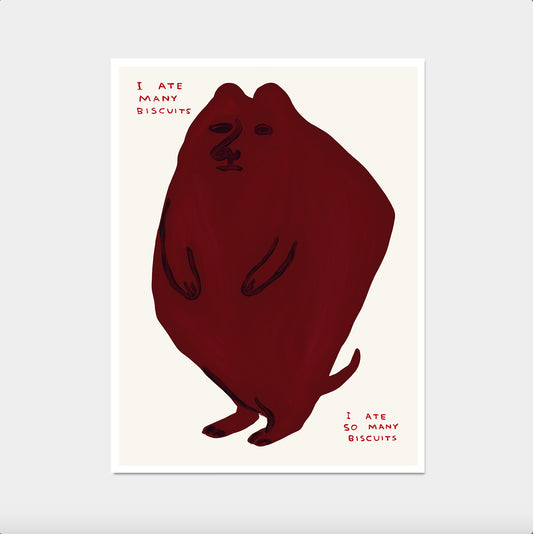 David Shrigley Print. I Ate Many Biscuits I Ate So Many Biscuits. Funny Wall Art. Shrigley Bear. Trending Poster. Funky Living Room Wall Art