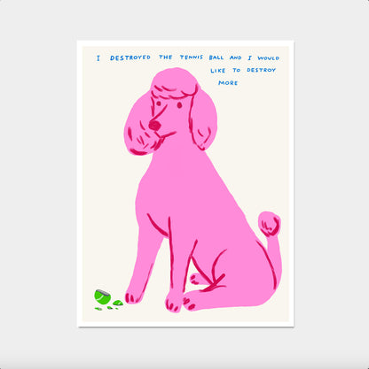 David Shrigley. I Destroyed The Tennis Ball. Poodle Art Print. Funny Living Room Wall Art Poster. Shrigley Limited Edition. Trending Poster