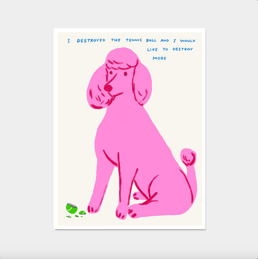 David Shrigley. I Destroyed The Tennis Ball. Poodle Art Print. Funny Living Room Wall Art Poster. Shrigley Limited Edition. Trending Poster