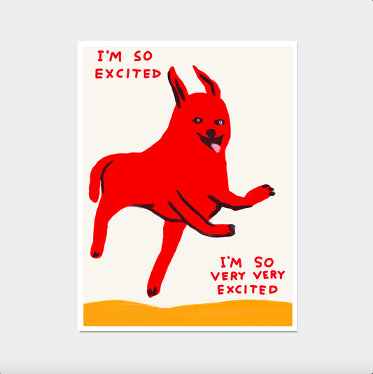 I'm So Excited I'm So Very Very Excited Poster. David Shrigley Happy Dog Poster Print. Funny Quote Wall Art. Contemporary Art. Funky Dog Art