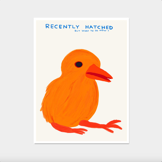 Recently Hatched - David Shrigley quote wall art 