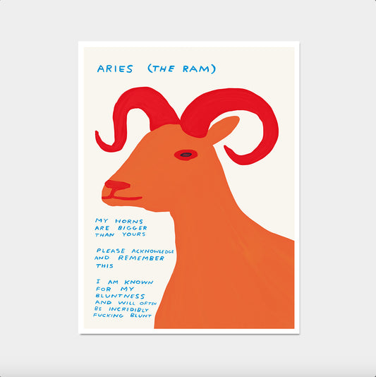 Aries The Ram Zodiac. David Shrigley Print. Signs of the Zodiac. Contemporary Room Art. Quote Wall Art. Zodiac Wall Decor. Shrigley Aries