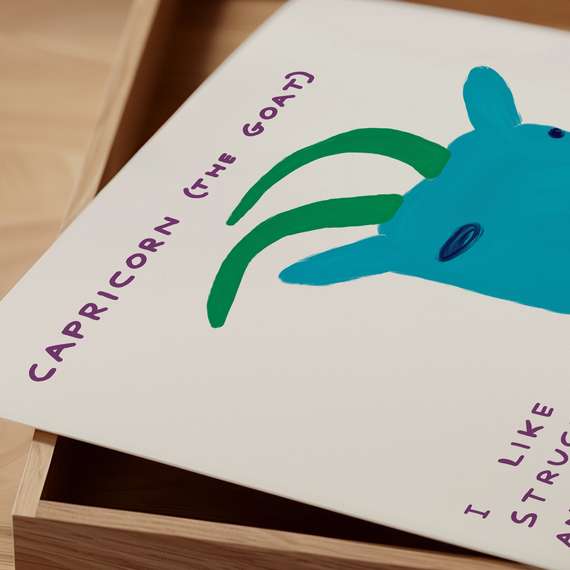David Shrigley Art. Capricorn the Goat Print. Signs of the Zodiac. Contemporary Art. Zodiac Wall Print. Shrigley Capricorn. Living Room Art