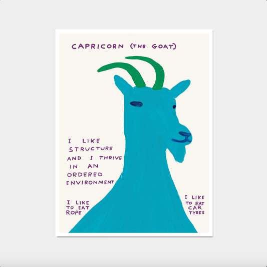 David Shrigley Art. Capricorn the Goat Print. Signs of the Zodiac. Contemporary Art. Zodiac Wall Print. Shrigley Capricorn. Living Room Art