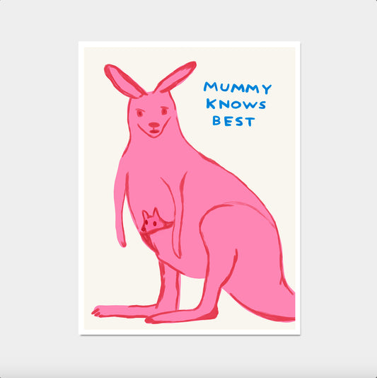 David Shrigley Art. Mummy Knows Best. Mothers Day Gift. Funny Wall Poster. Shrigley Kangaroo. Kangaroo Mama. Funky Living Room Wall Art