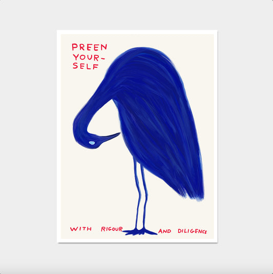 David Shrigley. Preen Yourself. Funny Wall Poster. Shrigley Bird. Trending Poster. Funky Living Room Wall Art. Bird Prints