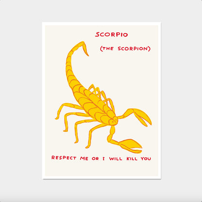 David Shrigley Print. Scorpio Poster. Signs of the Zodiac. Contemporary  Wall Art. Zodiac Sign Wall Decor. Shrigley Scorpio. Living Room Art