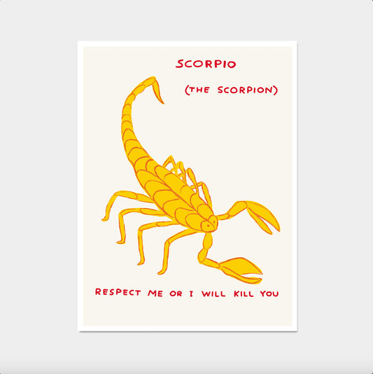 David Shrigley Print. Scorpio Poster. Signs of the Zodiac. Contemporary  Wall Art. Zodiac Sign Wall Decor. Shrigley Scorpio. Living Room Art
