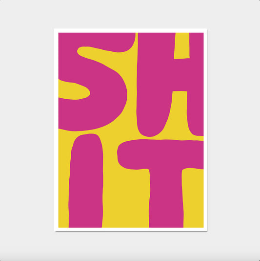 Shit Quote - David Shrigley