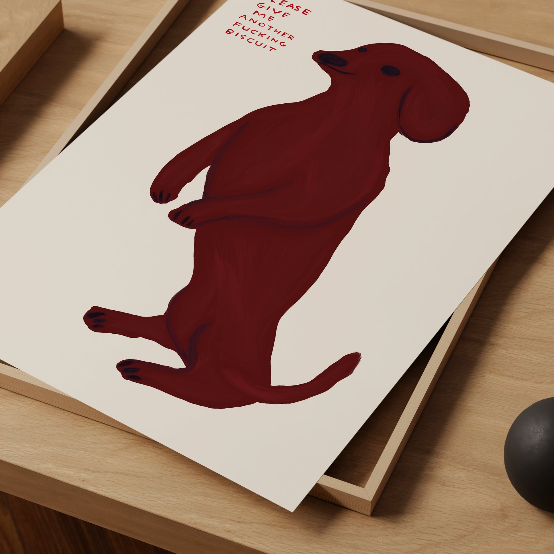 David Shrigley. Please Give Me Another Fucking Biscuit. David Shrigley Print. Shrigley Dog. Funny Dog Poster. Funky Living Room Wall Art