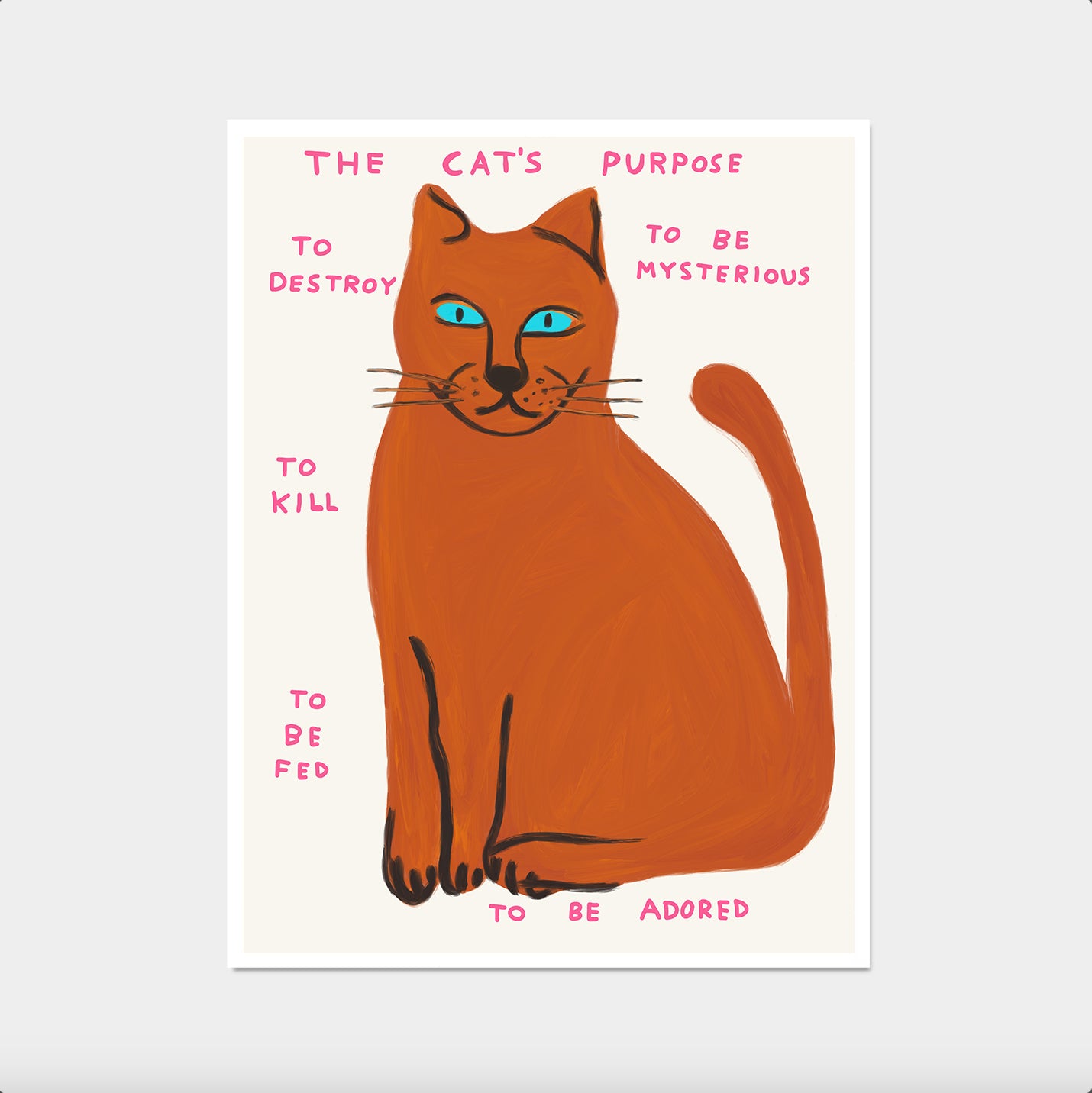The Cat's Purpose Poster. To Destroy To Be Mysterious. David Shrigley Cat Print. Funny Quote Wall Art. Cat Poster Print. Contemporary Art