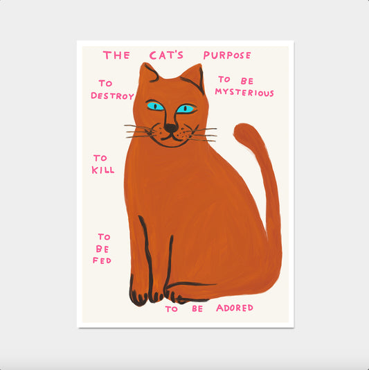 The Cat's Purpose Poster. To Destroy To Be Mysterious. David Shrigley Cat Print. Funny Quote Wall Art. Cat Poster Print. Contemporary Art